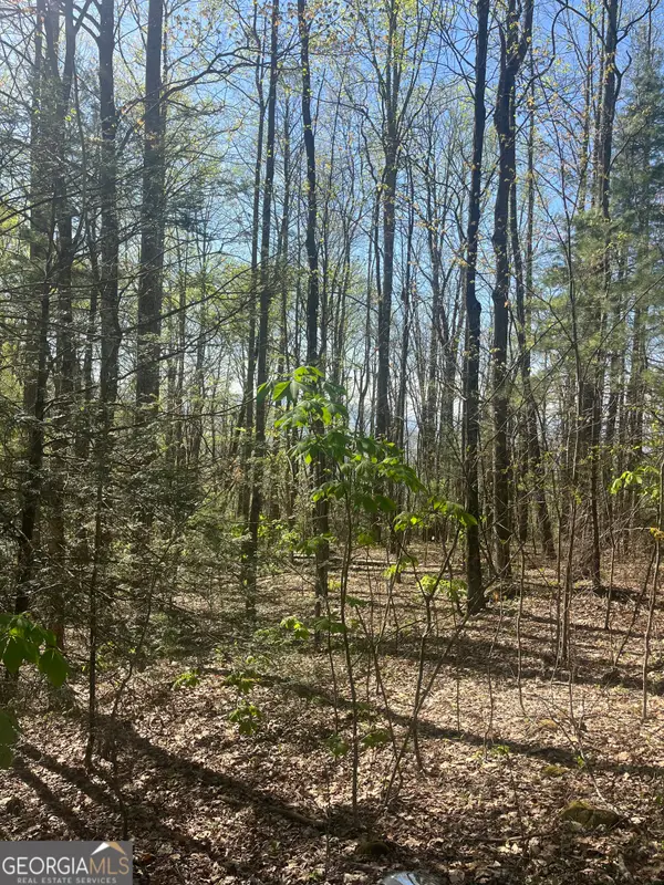 0 Happy Hill, Scaly MTN, NC 28775
