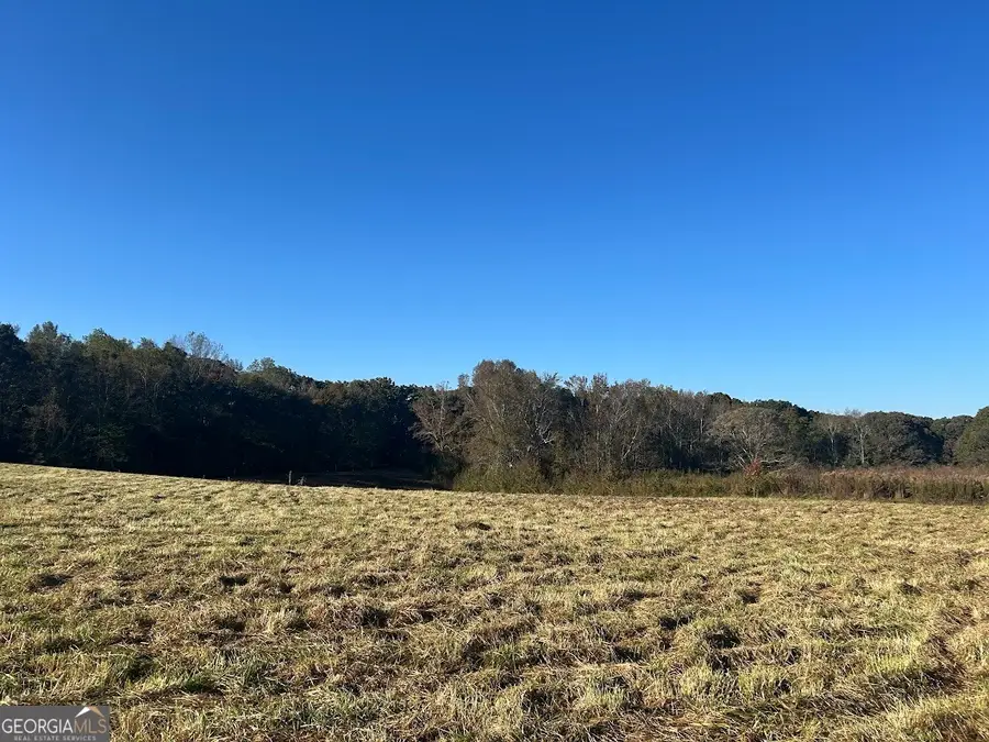 0 Old Columbus Road, Bowdon, GA 30108 - #3