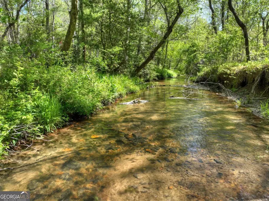 76 E Bevan Lane, Blue Ridge, GA 30513 - #3