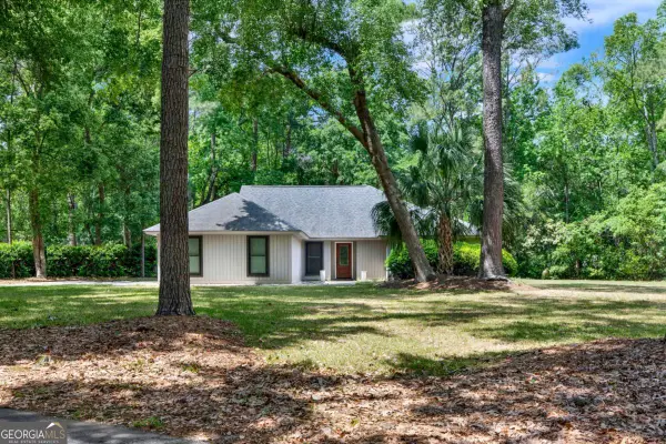 16 Old Martin Lane, Richmond Hill, GA 31324