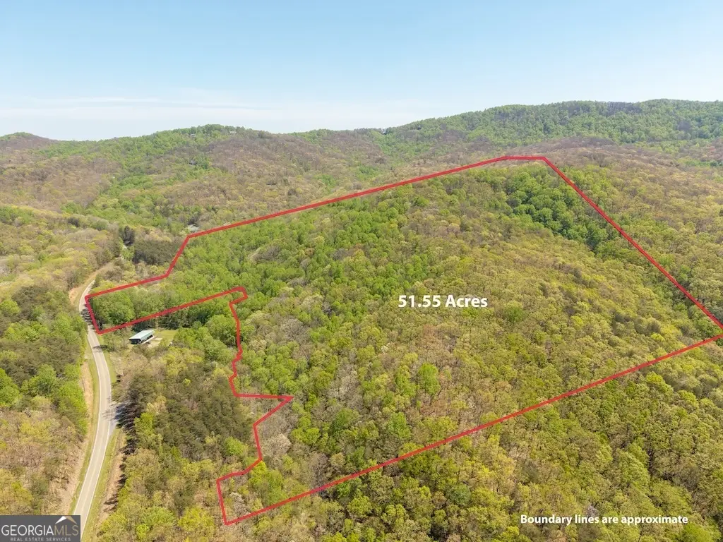 0 Burnt Mountain Road, Ellijay, GA 30536 - #1