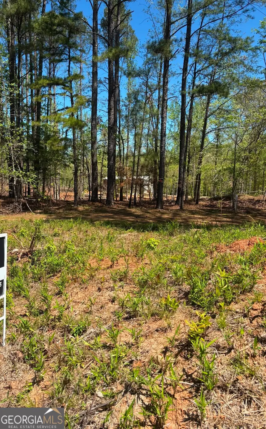 282 Quesenberry Drive, Eatonton, GA 31024 - #2