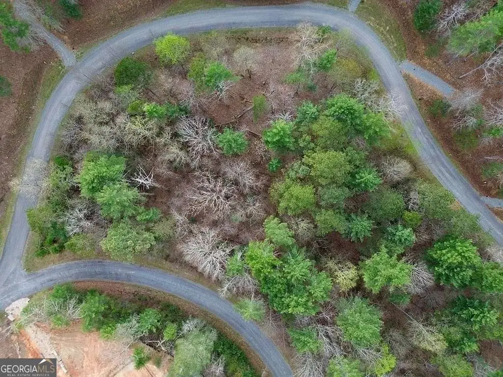 LOT108 Red Oak Trail, Ellijay, GA 30540 - #1