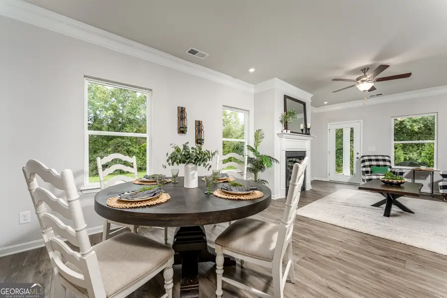 1393 Trellis Court #LOT 16, Hampton, GA 30228 - #2