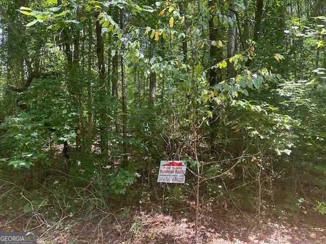 57 Dogwood Trail, Martin, GA 30557 - #1