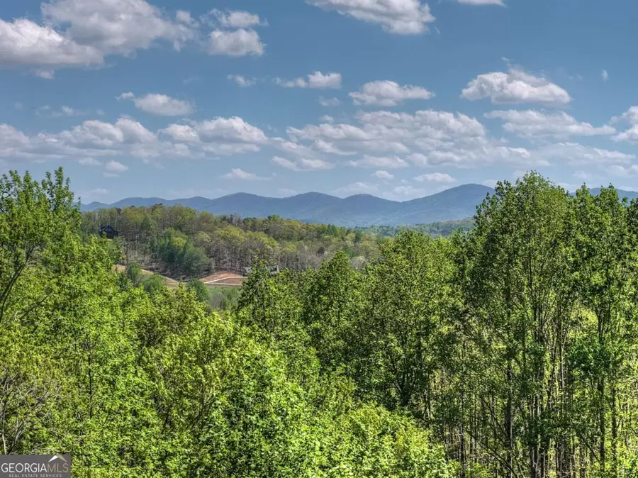 315 Blue Berry Ridge, Morganton, GA 30560 - #2