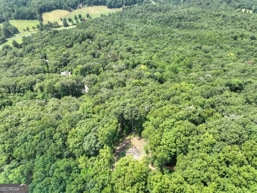 LOT 12 The Heights, Blue Ridge, GA 30513 - #3