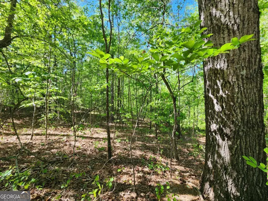 7210 Rand Drive, Douglasville, GA 30135 - #3