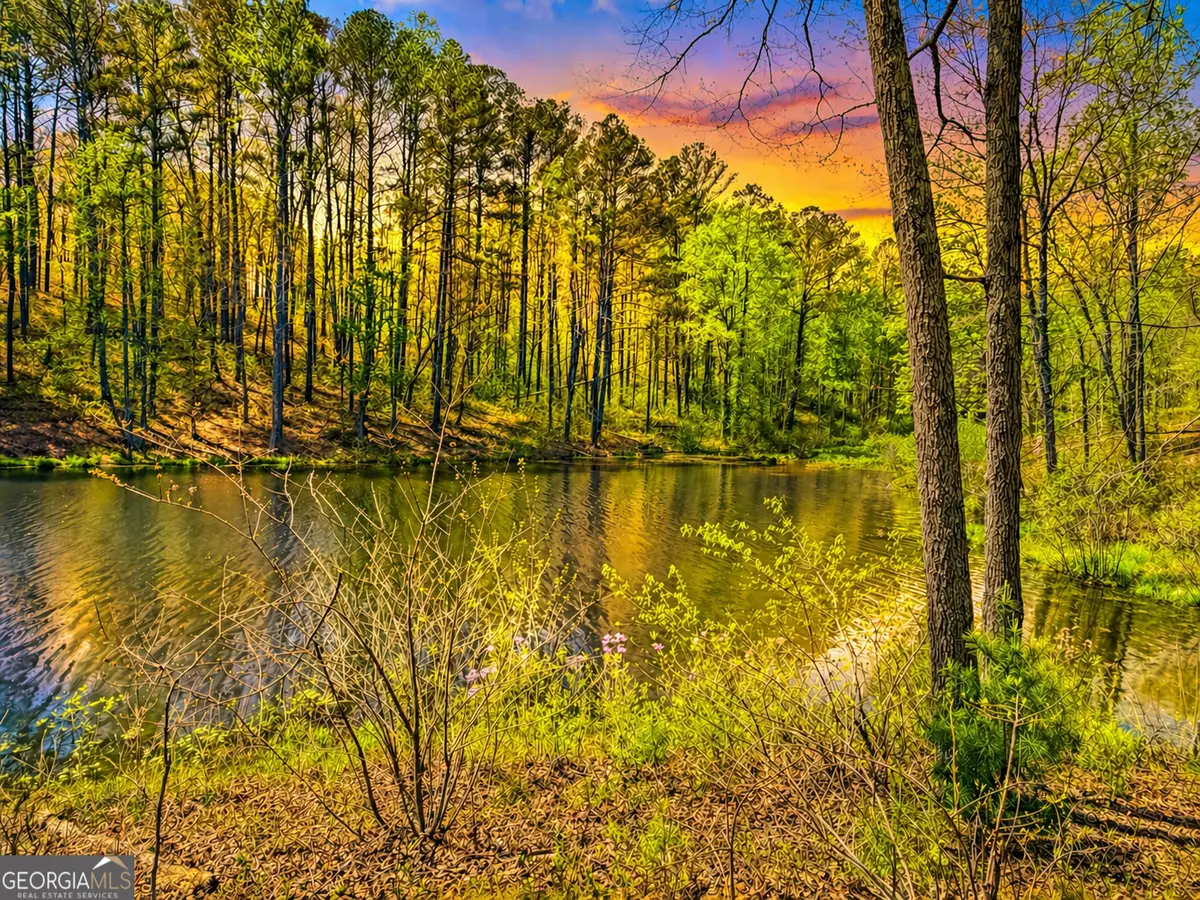 177R Overlook Drive, Ellijay, GA 30536 - #1