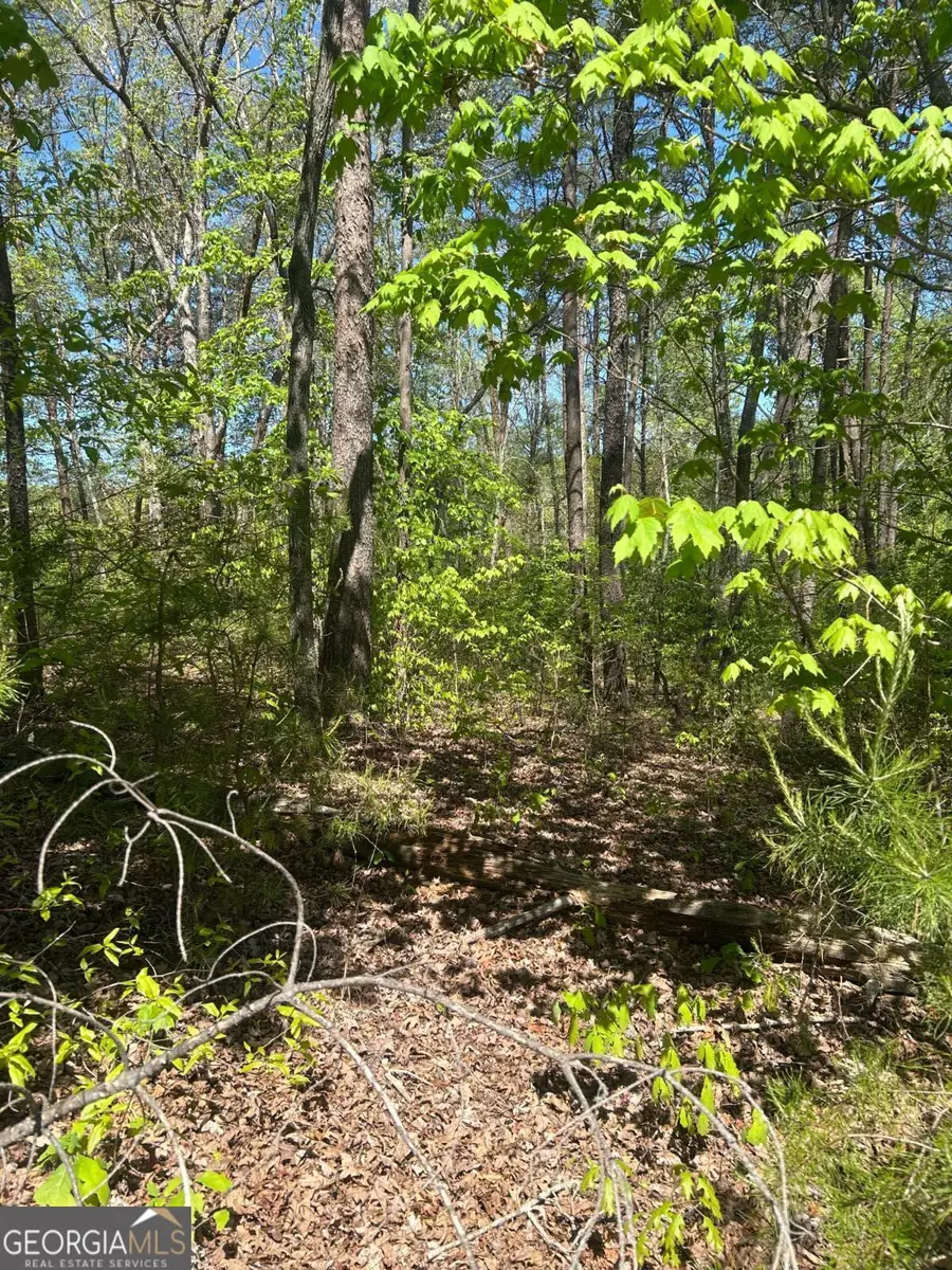 0 Windfield Circle #35, 36, Blue Ridge, GA 30513 - #2