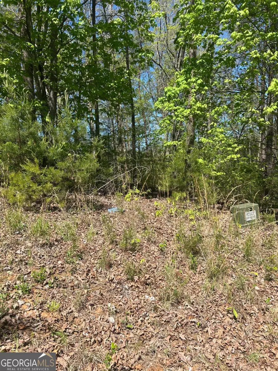 0 Windfield Circle #35, 36, Blue Ridge, GA 30513 - #3