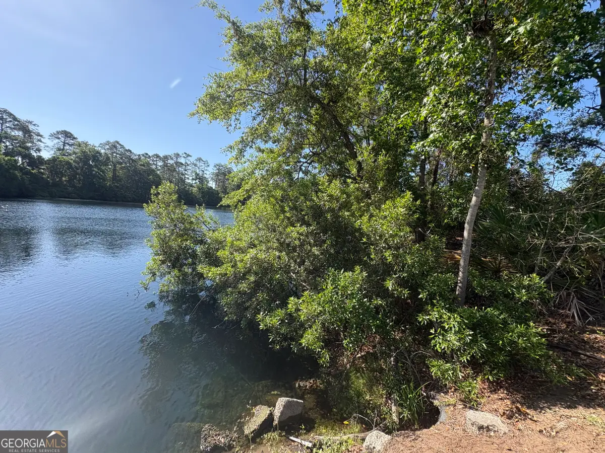 155 Palmera Lane, Brunswick, GA 31525 - #1