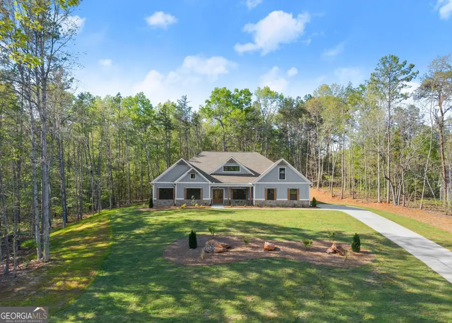 206 Shoals Way, Clarkesville, GA 30523 - #2
