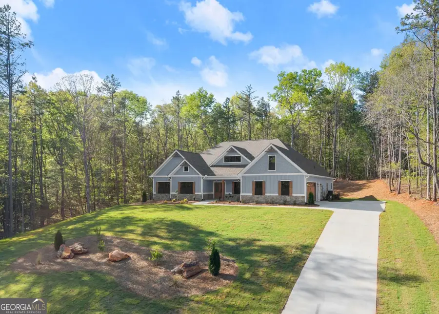 206 Shoals Way, Clarkesville, GA 30523 - #3