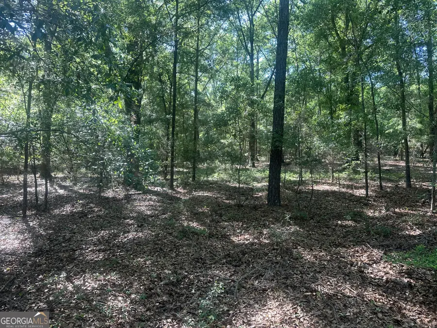 0 Burtons Ferry Highway, Sylvania, GA 30467 - #3