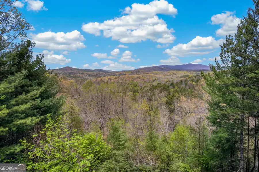 425 Rhonda Lane #5, Mineral Bluff, GA 30559 - #3