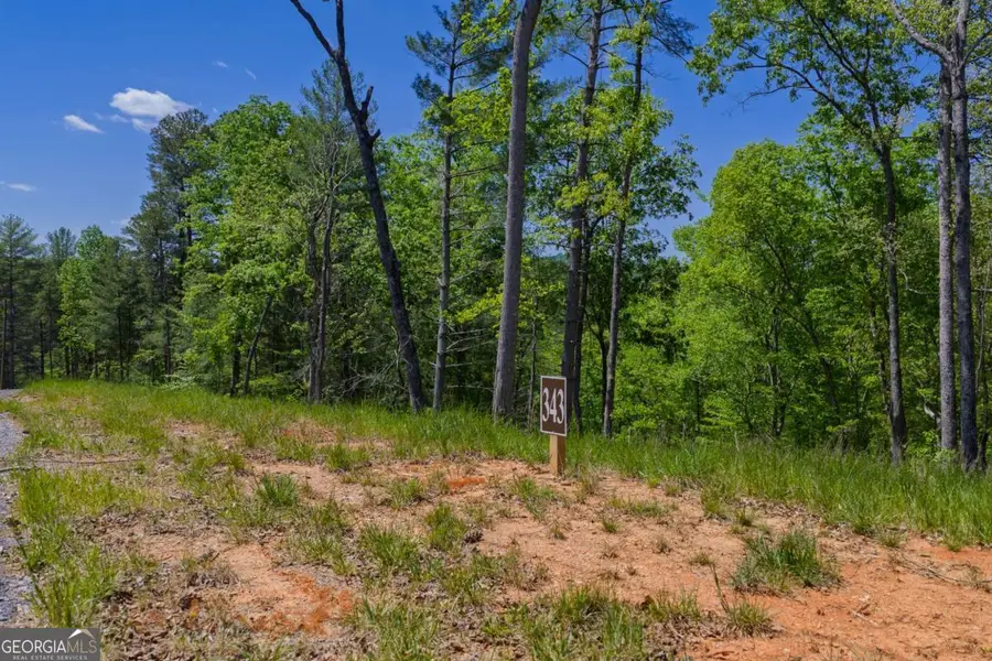 LOT 343 Shallow Branch Drive, Talking Rock, GA 30175 - #2