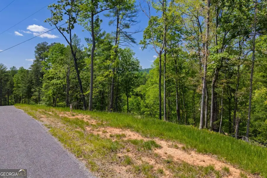 LOT 343 Shallow Branch Drive, Talking Rock, GA 30175 - #3