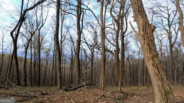 7188 Ridgeview Drive, Big Canoe, GA 30143