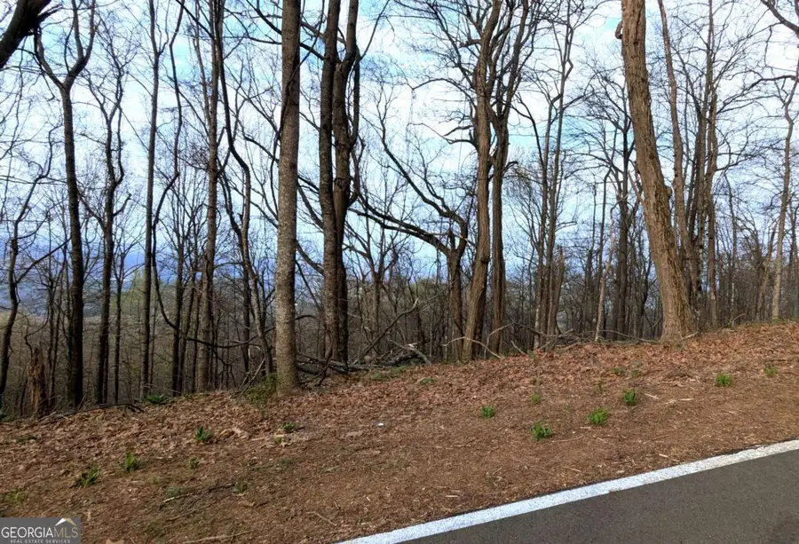 7188 Ridgeview Drive, Big Canoe, GA 30143 - #2