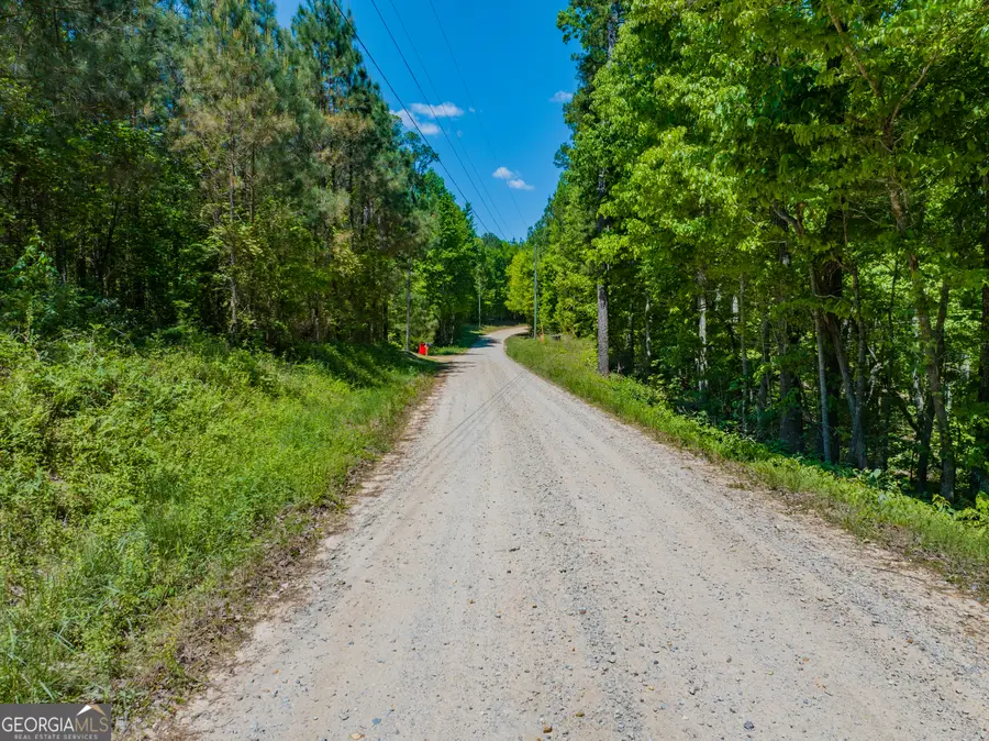 16 ACRES Gun Club Road, Buchanan, GA 30113 - #3