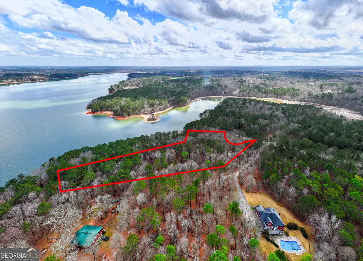3+/- ACRES Happy Hollow Road, Hampton, GA 30228 - #1