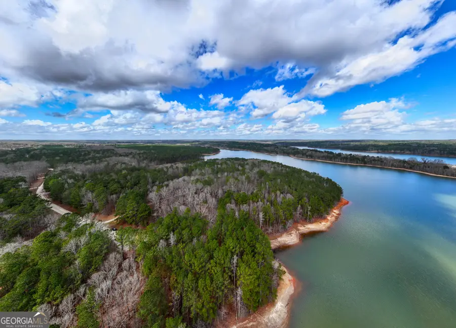 3+/- ACRES Happy Hollow Road, Hampton, GA 30228 - #3