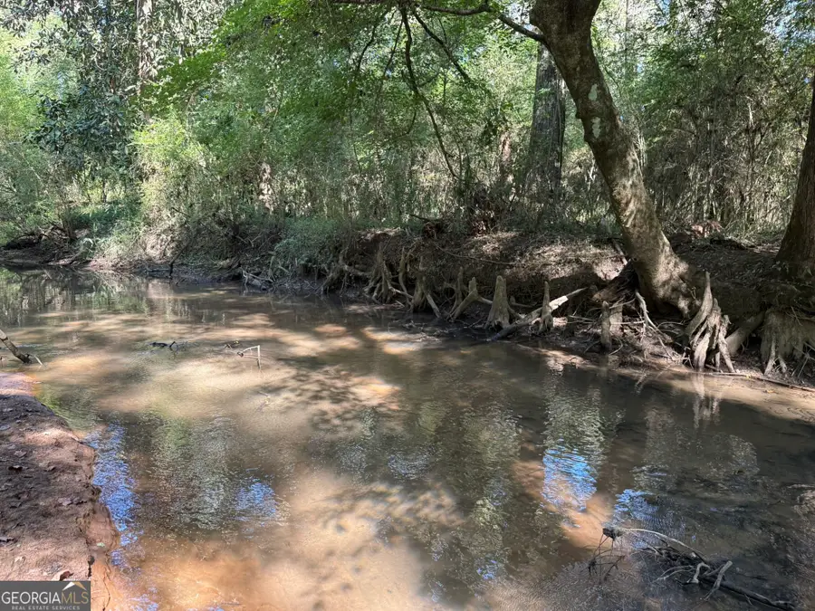 GH Wallace Buie Rd, Webb, AL 36376 - #3