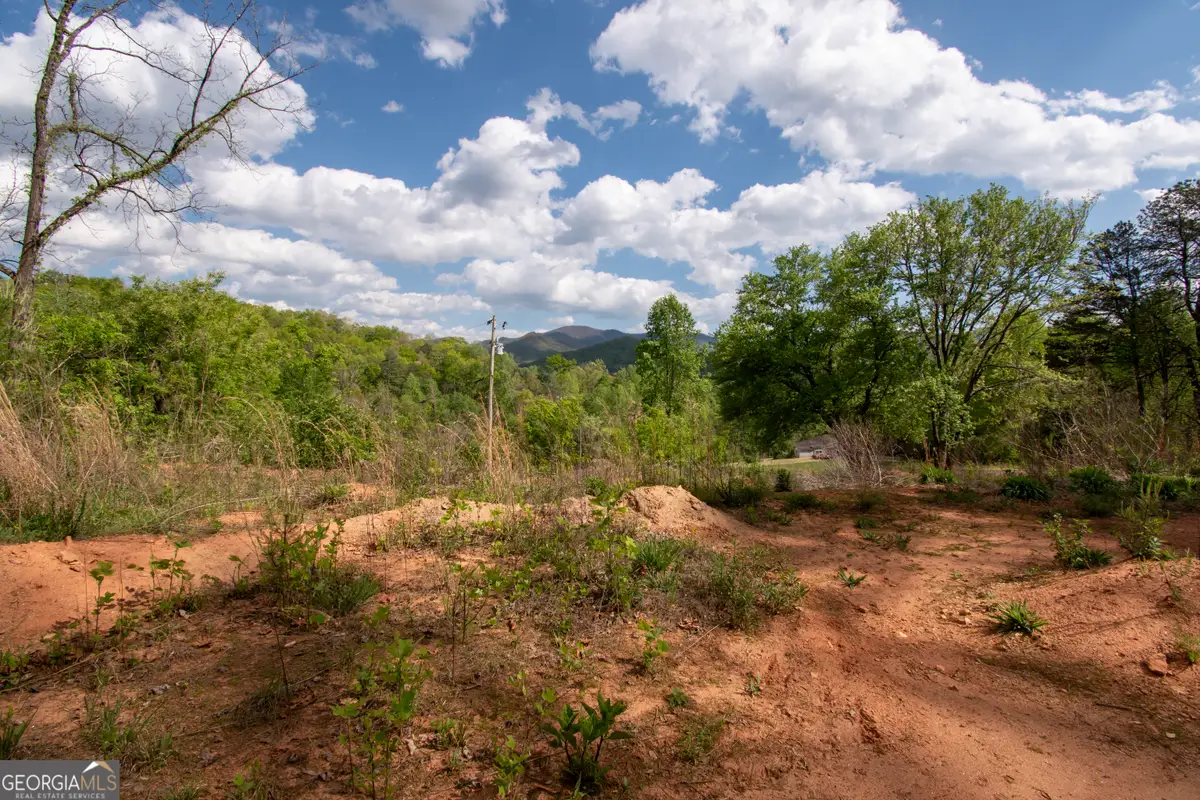 0 W Vineyard Road, Hayesville, NC 28904 - #1