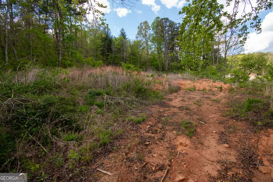 0 W Vineyard Road, Hayesville, NC 28904 - #2