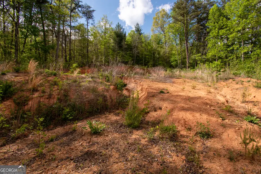 0 W Vineyard Road, Hayesville, NC 28904 - #3