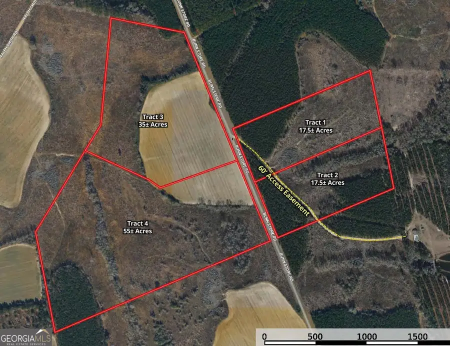 0 Bunn Store Road #TRACT 4, Midville, GA 30441 - #2