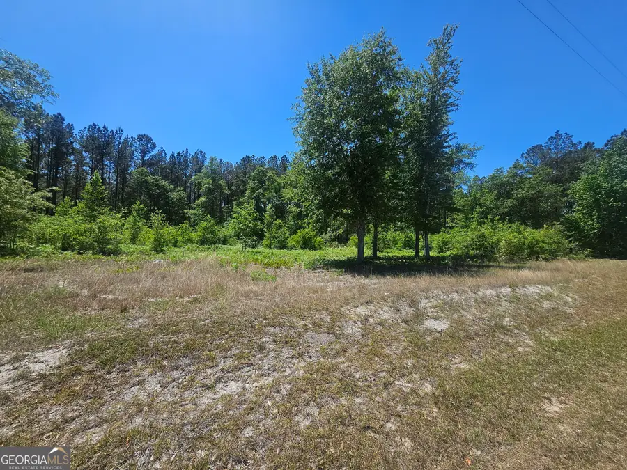 0 Edgar Lane Road, Millen, GA 30442 - #3