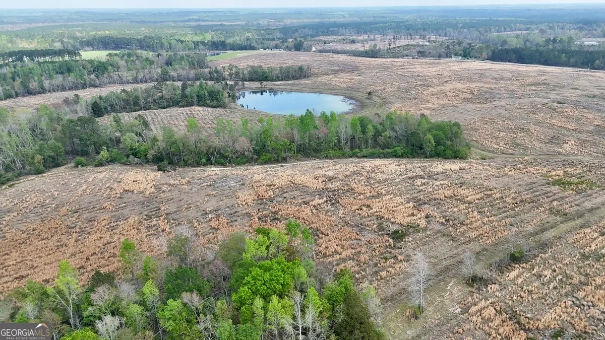 TRACT 2 Mount Shady Church Road, Swainsboro, GA 30401 - #1