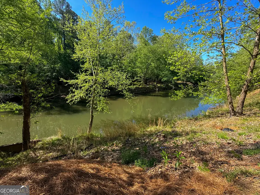 301 Ogden Drive, Ellijay, GA 30540 - #3