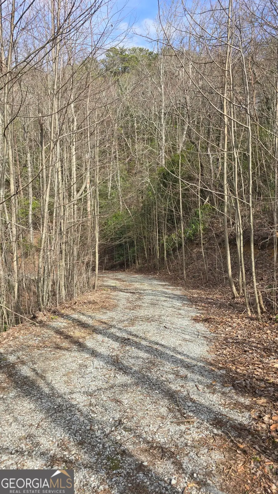 35 Winding Vw Trail, Clayton, GA 30525 - #3