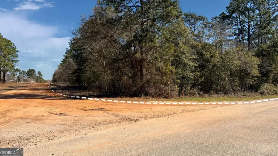 91 Lake Carroll Drive, Donalsonville, GA 39845 - #3