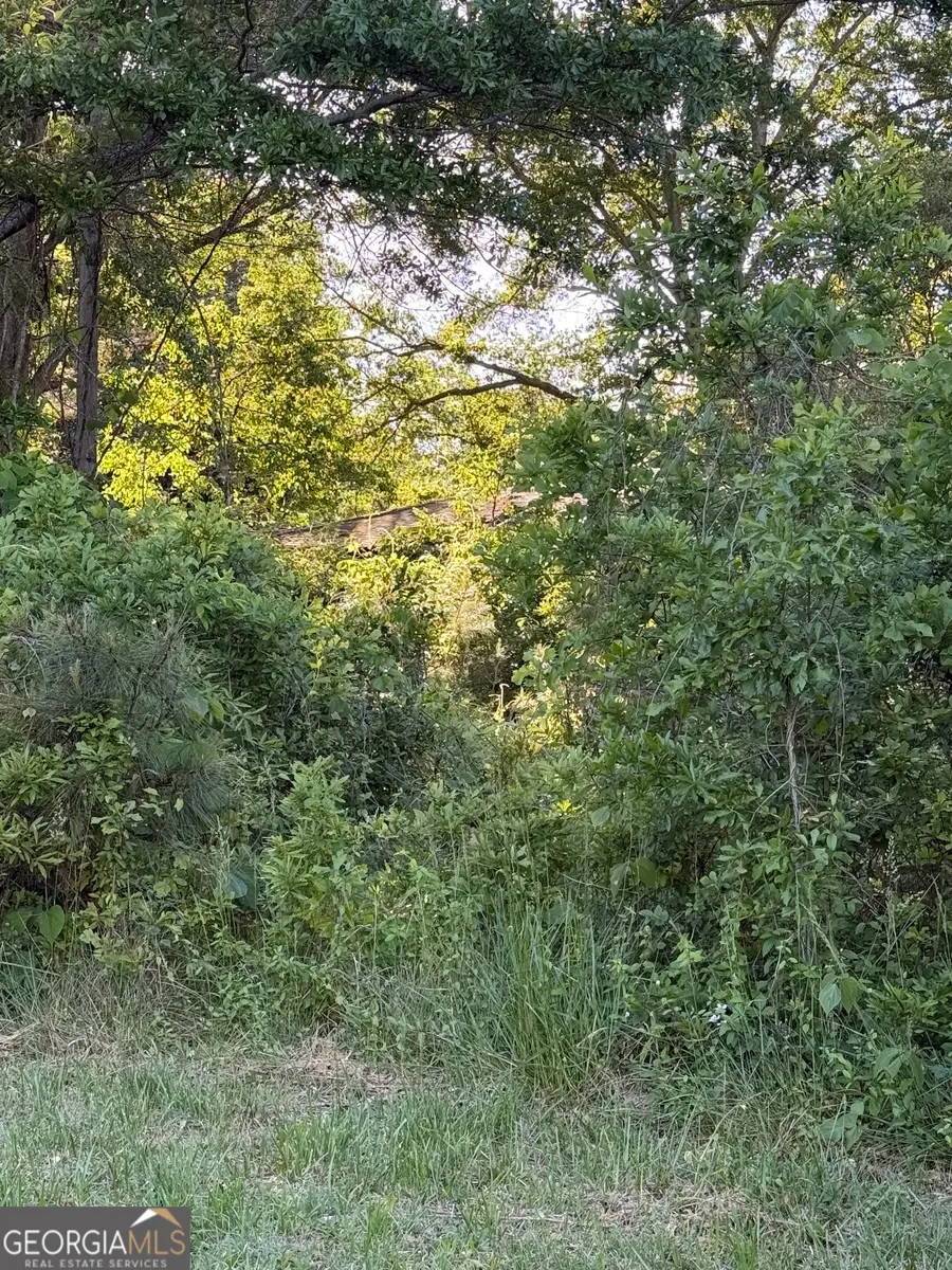 217 S Broad Street, Winder, GA 30680 - #3