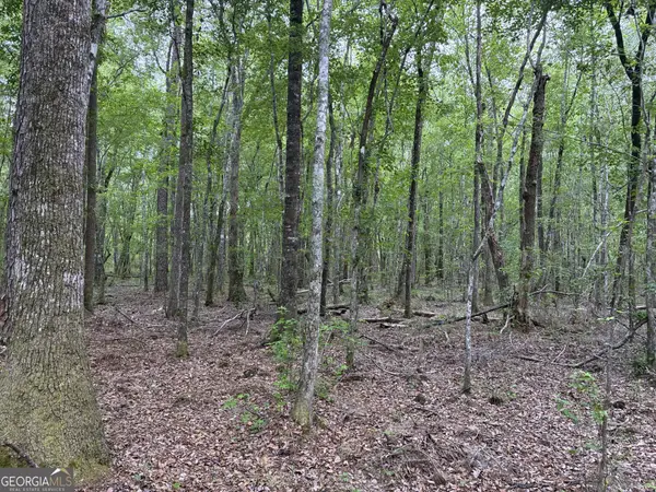 734 Archer Pond Smith Road, Adrian, GA 31002