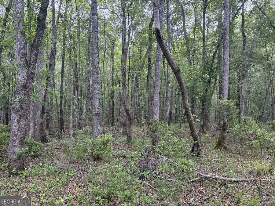 734 Archer Pond Smith Road, Adrian, GA 31002 - #2