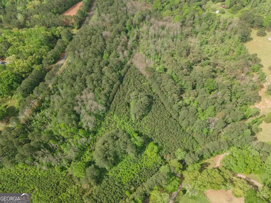 0 Beavers Rd, Grantville, GA 30220 - #3