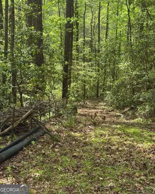 348 Hemlock Trail, Ellijay, GA 30540 - #1