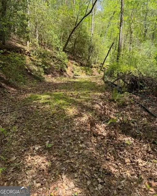 348 Hemlock Trail, Ellijay, GA 30540 - #3