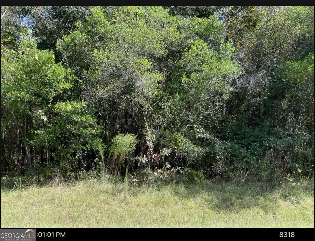 1875 Oochee Creek Road, Toomsboro, GA 31090 - #1