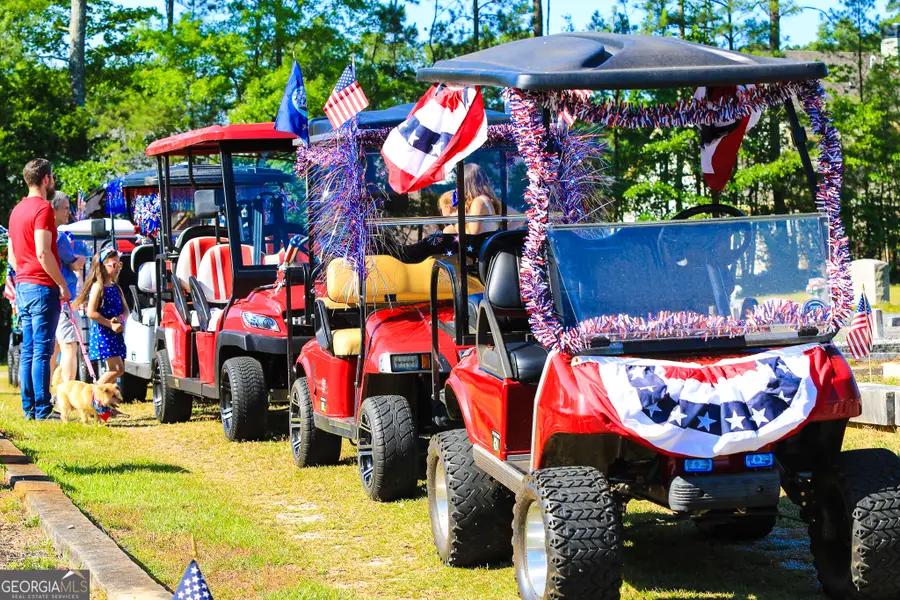 209 Maddington Court, Senoia, GA 30276 - #3