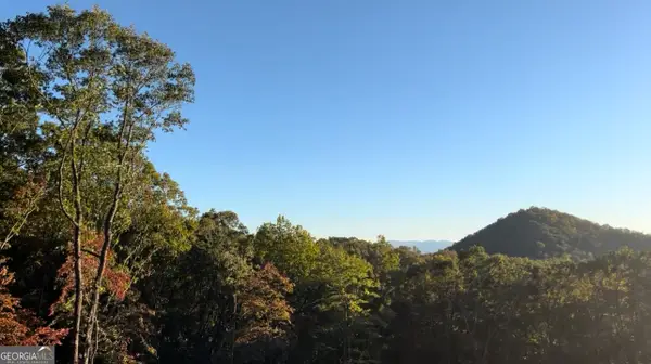 600 KITTANTINNY Wawayanda Drive, Mineral Bluff, GA 30559