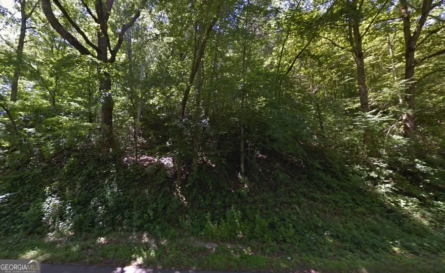 861 Bugscuffle Rd, Hiawassee, GA 30546 - #2