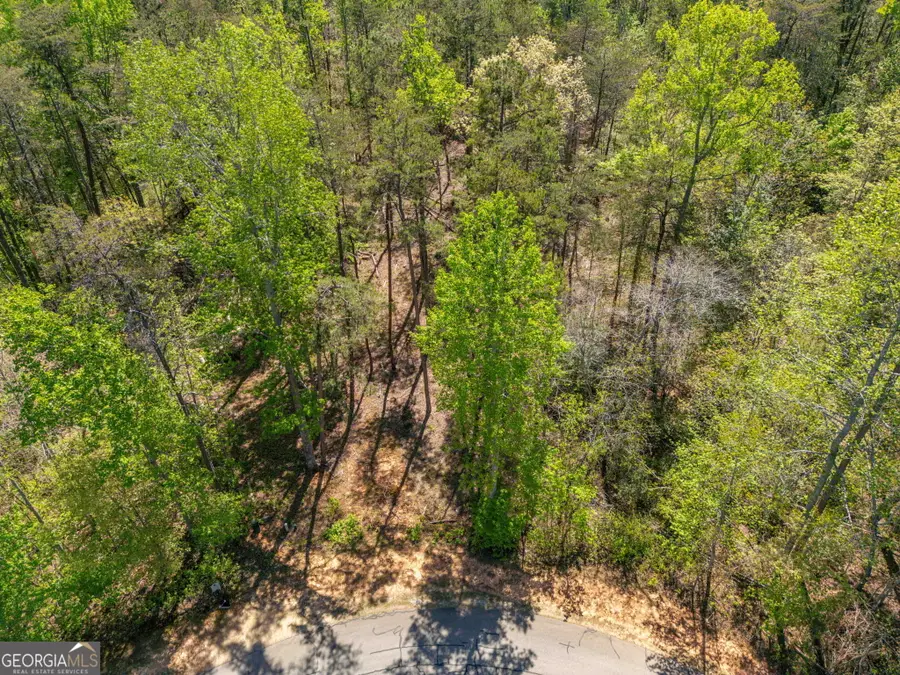 0 Red June Lot 1318 & 1309 Lane, Clarkesville, GA 30523 - #3