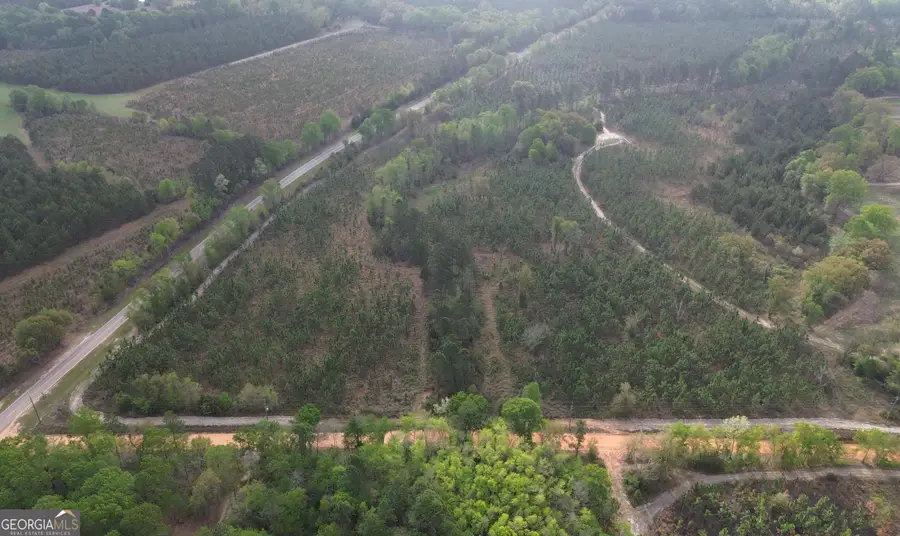 001 Old Poor Robin Tract 1, Sylvania, GA 30467 - #3