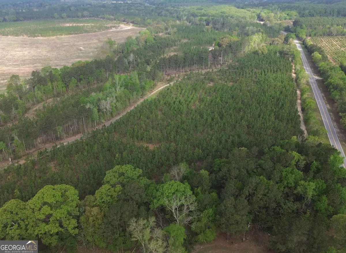 002 Old Poor Robin Tract 2, Sylvania, GA 30467 - #1